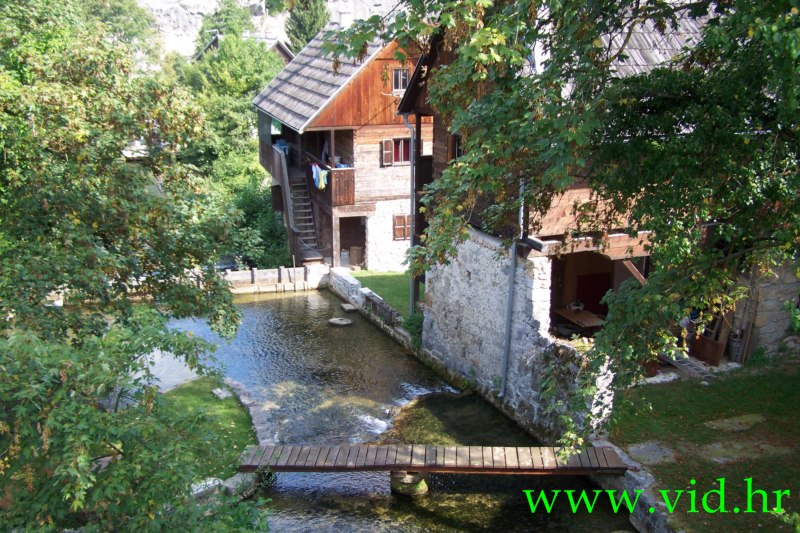 Letovanic (84)